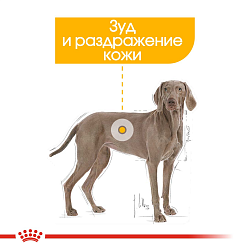 Сухой корм Royal Canin Maxi Dermacomfort для взрослых крупных пород 10 кг